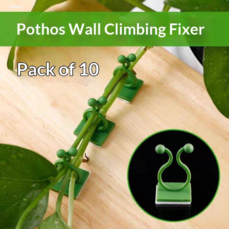 Vine Climbing Plastic - Self‑Adhesive Plant Climbing Wall Fixture Clips