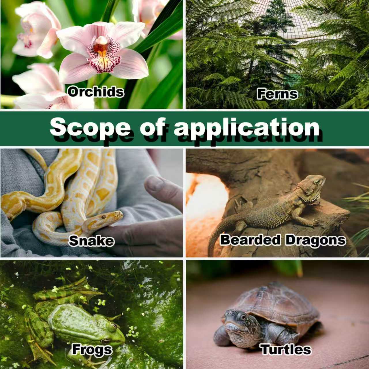 Reptile Humidifier Terrarium F - đánh giá và giá Terrarium Fogger Ultrasonic