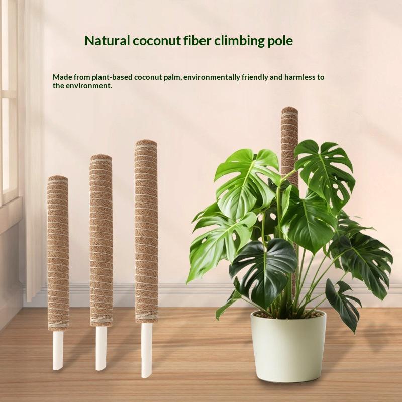 1Pcs Plant Growth Traction Rod - đánh giá và giá Vine Climbing Plastic