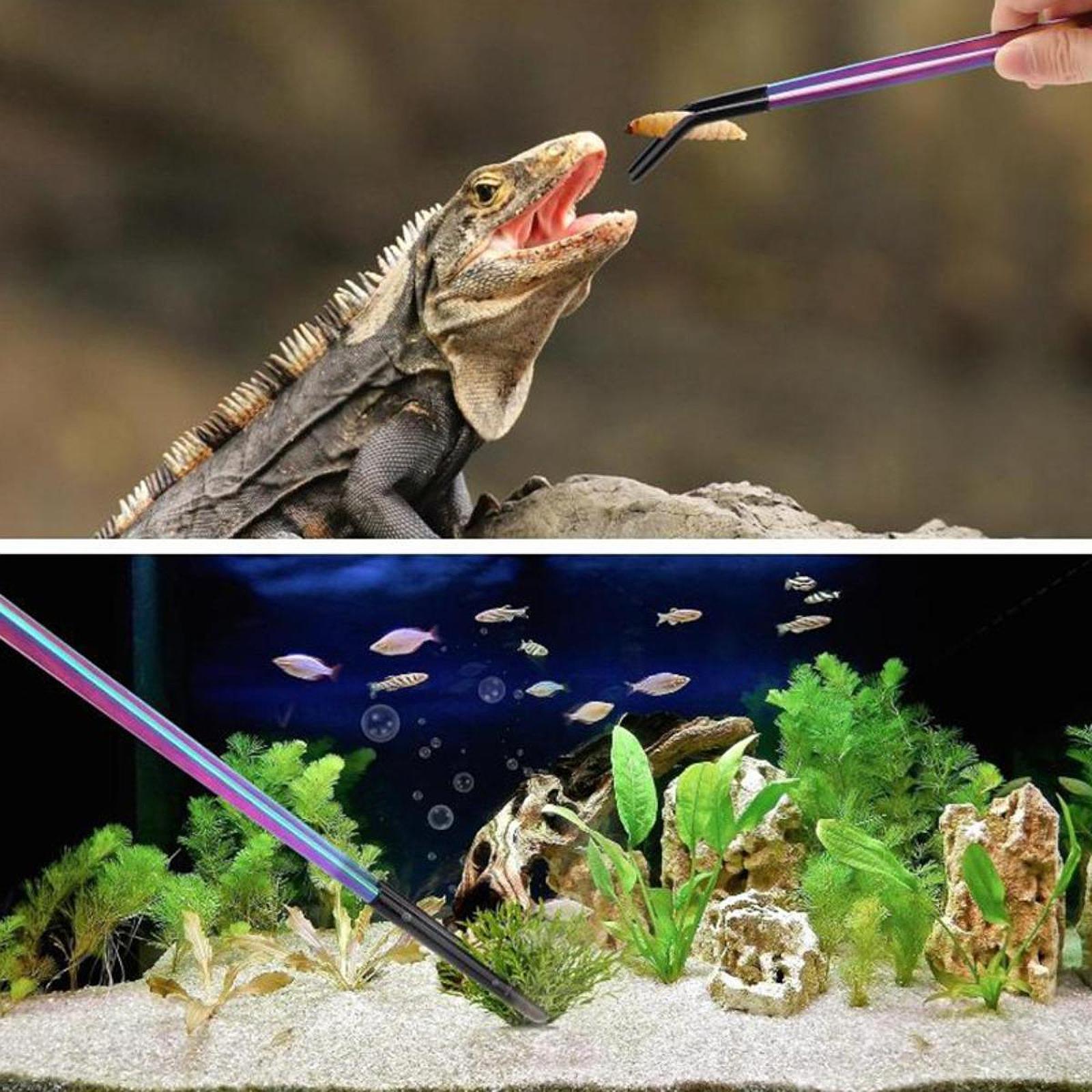 Aquarium Tweezers Reptile Feed - đánh giá và giá Feeding Tong Stainless
