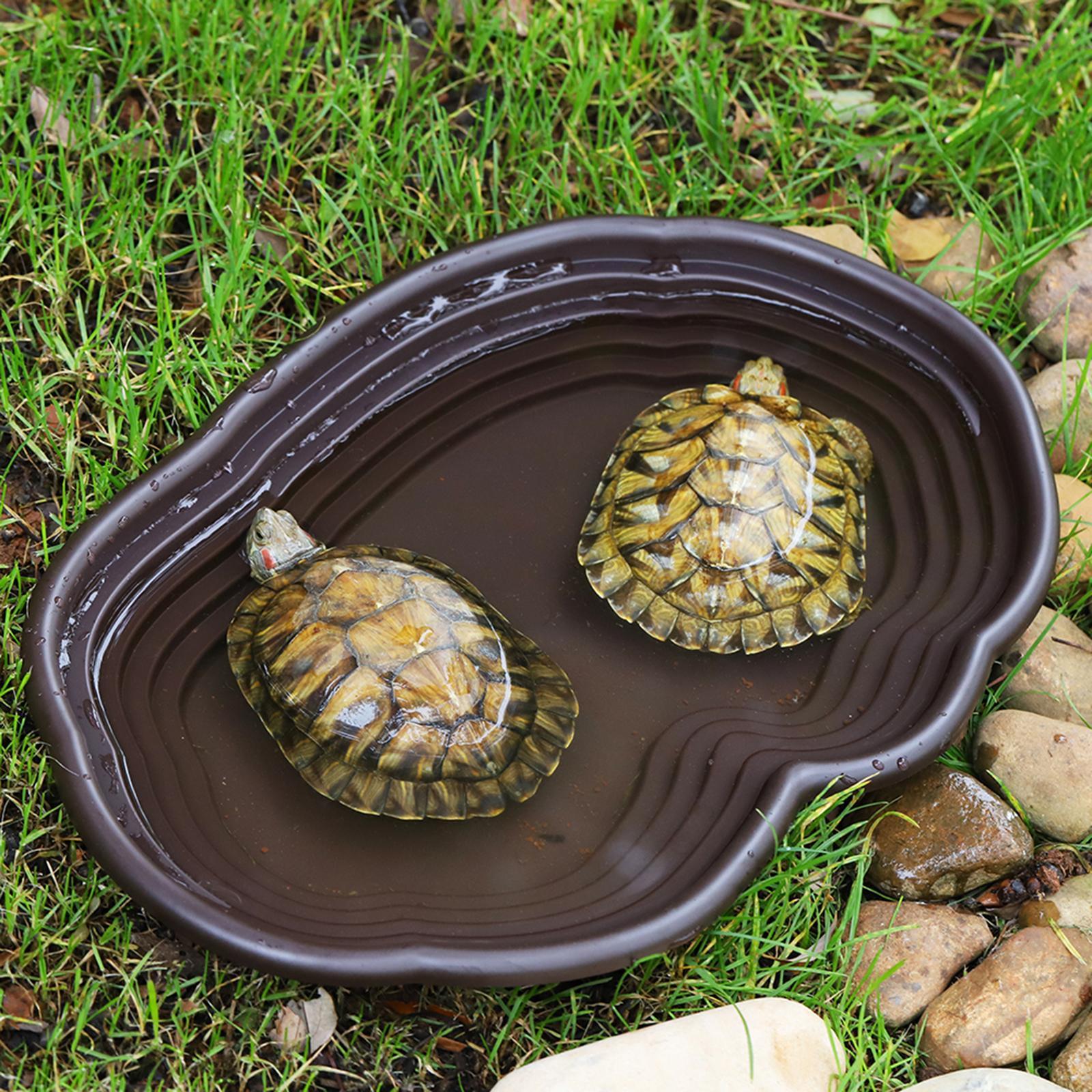 Reptile Bathing Dish Tortoise  - đánh giá và giá Water Dish Reptile