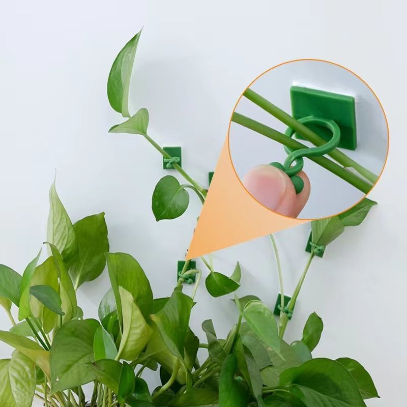 Self‑Adhesive Plant Climbing W - đánh giá và giá Vine Climbing Plastic