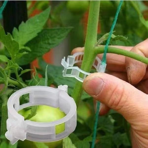 500Pcs Plastic Plant Support C - đánh giá và giá Vine Climbing Plastic