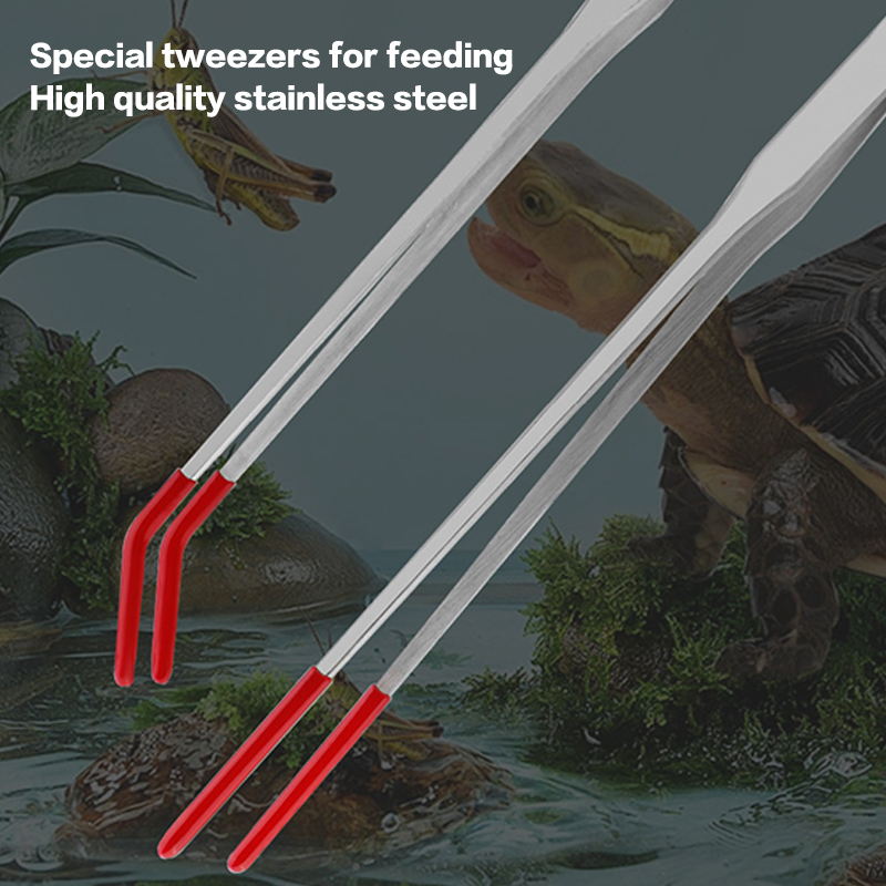 Reptile Feeding Tongs with Rub - đánh giá và giá Feeding Tong Stainless