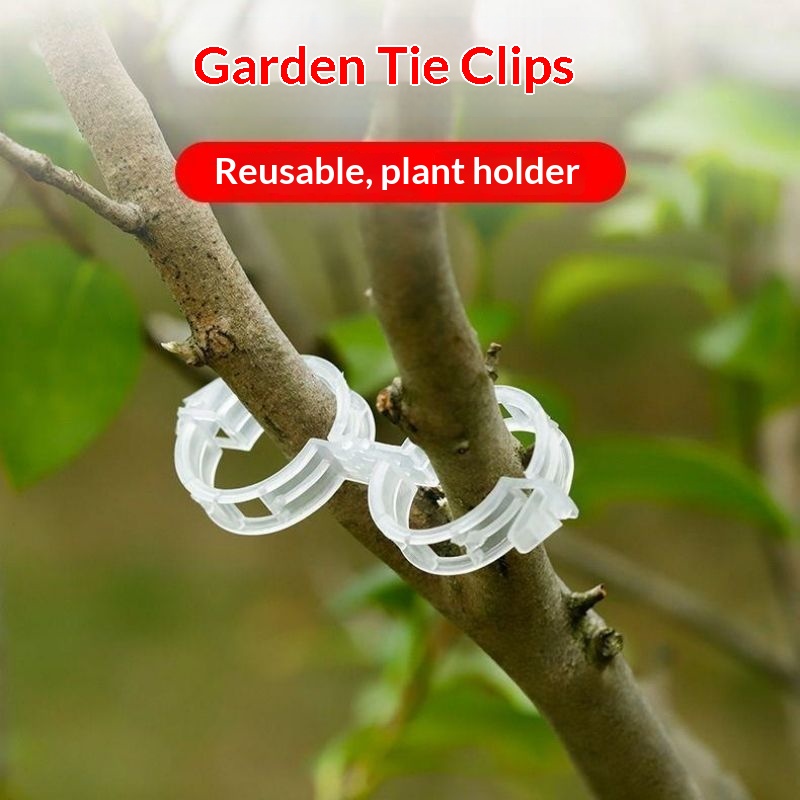 Plastic Plant Support Clips Re - đánh giá và giá Vine Climbing Plastic