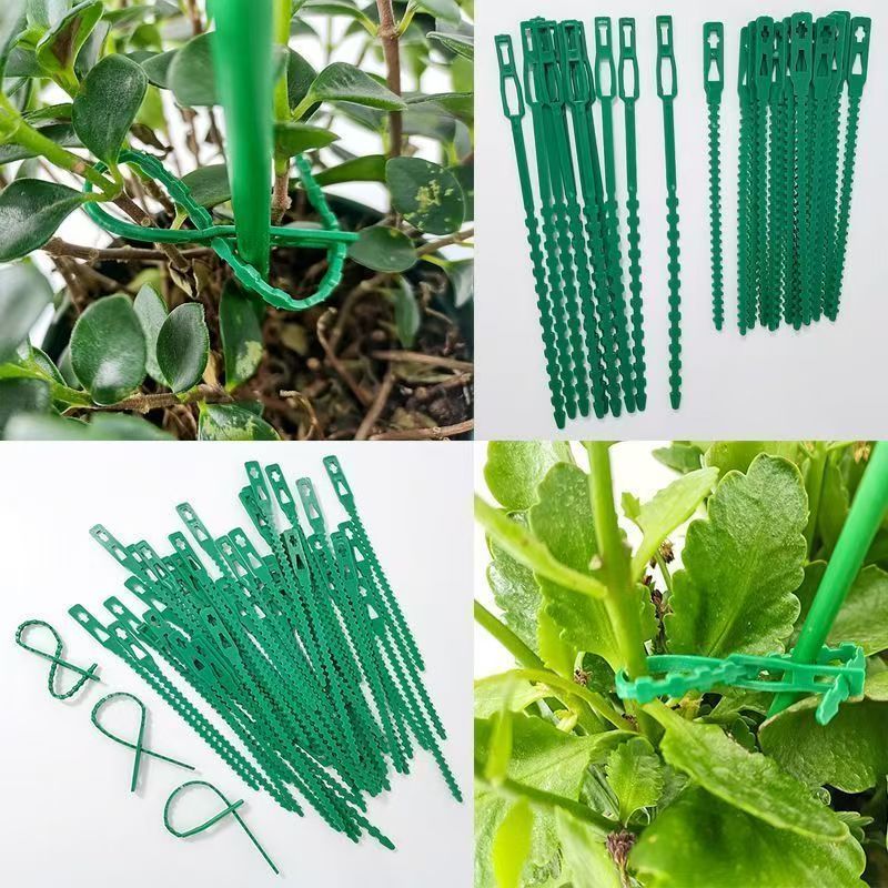 Green Reusable Plant Ties Adju - đánh giá và giá Vine Climbing Plastic